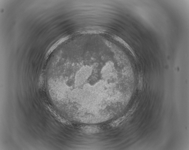 X0000085060874200704021342