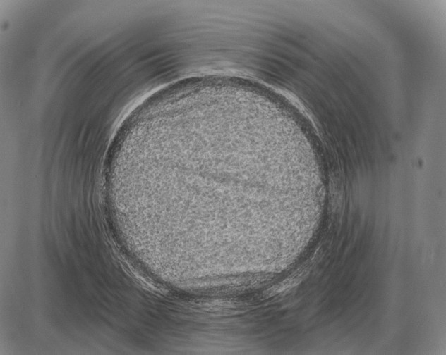 X0000085060879200704021342