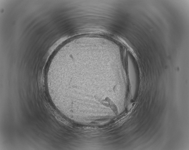 X0000085060883200704021342