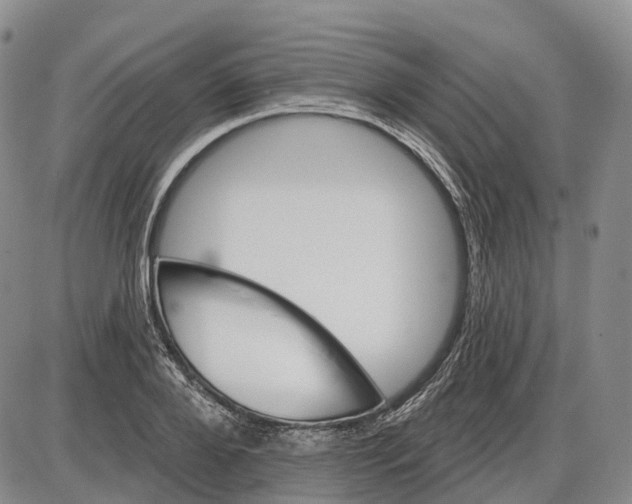 X0000085060888200704021342