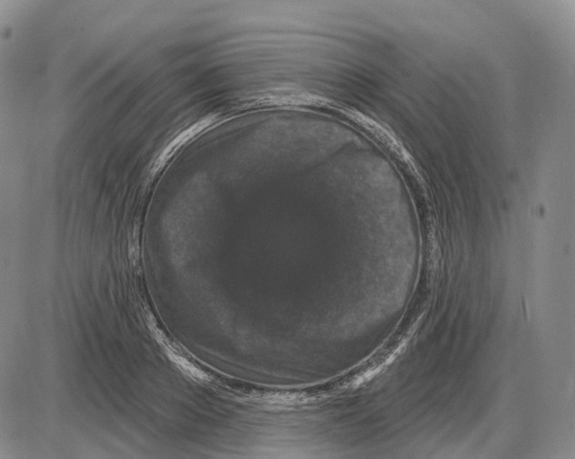 X0000085060889200704021342