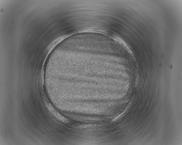 X0000085060892200704021342