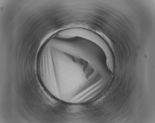 X0000085060894200704021342