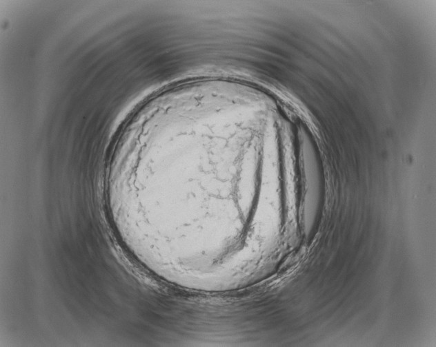 X0000085060896200704021342