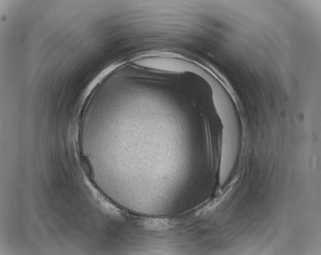 X0000085060909200704021342