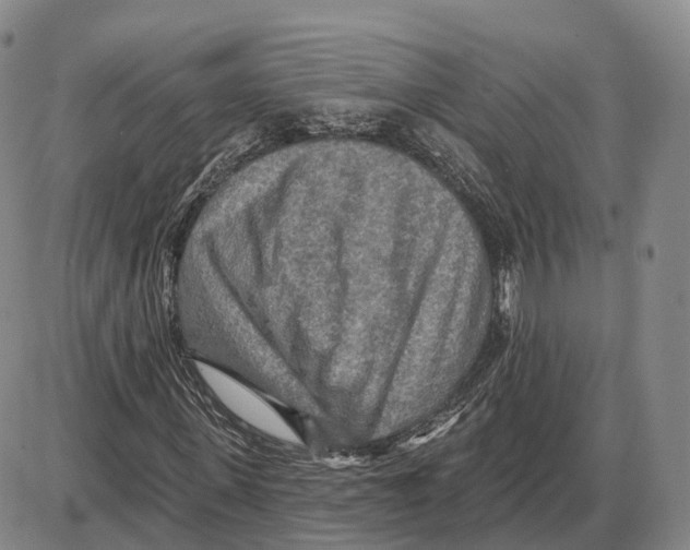 X0000085060915200704021341