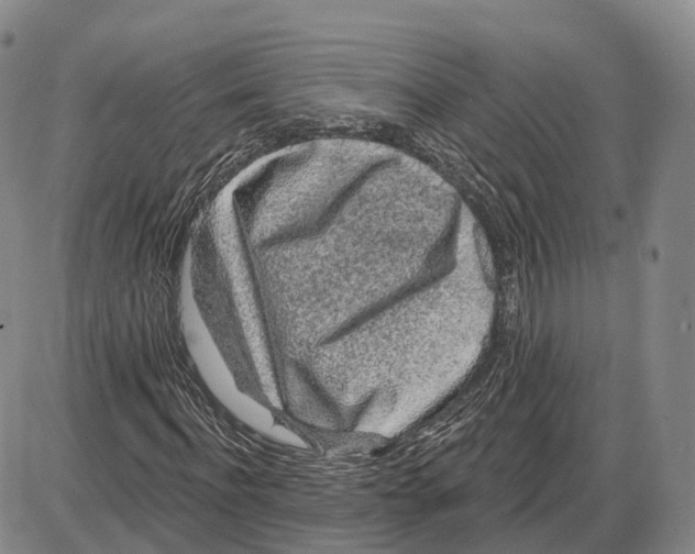 X0000085060916200704021341