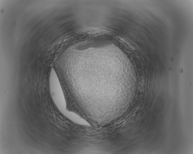 X0000085060917200704021341