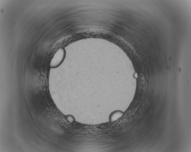 X0000085060918200704021341