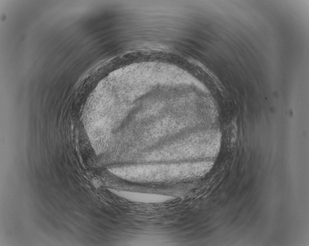 X0000085060919200704021341