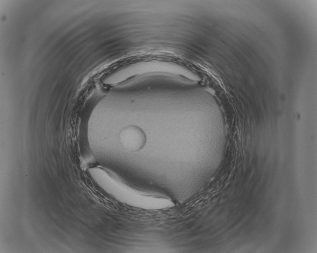 X0000085060920200704021341