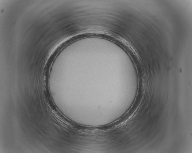 X0000085060926200704021341