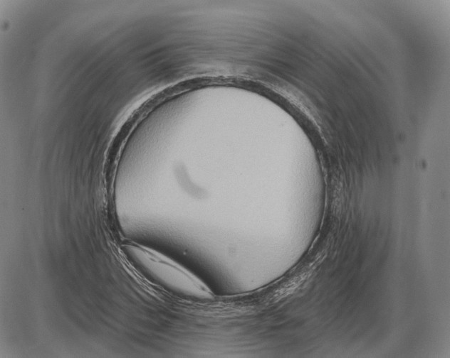 X0000085060927200704021341