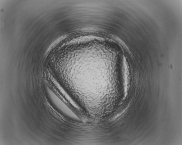 X0000085060930200704021341
