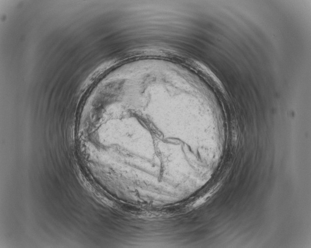 X0000085060938200704021341