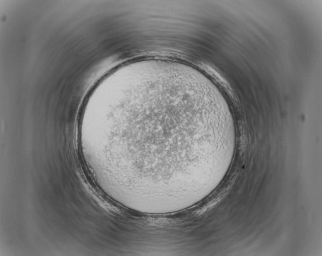 X0000085060940200704021341