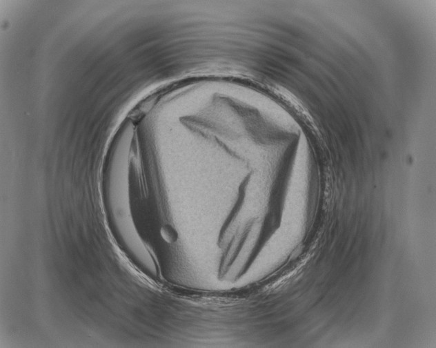X0000085060942200704021341
