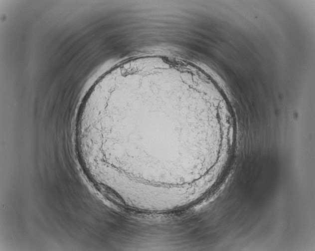 X0000085060949200704021341