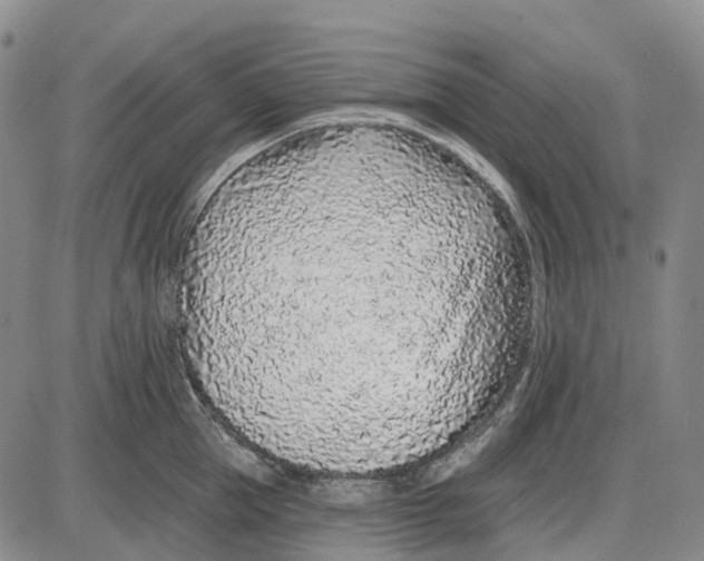 X0000085060953200704021341