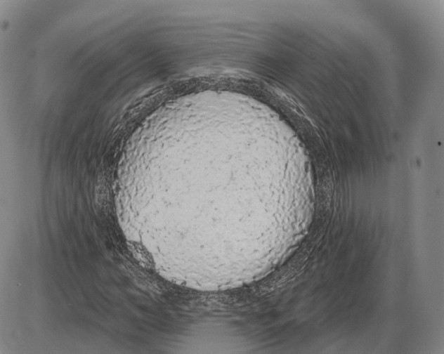X0000085060966200704021341