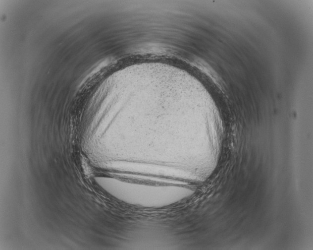 X0000085060967200704021341