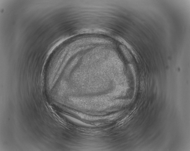 X0000085060975200704021341