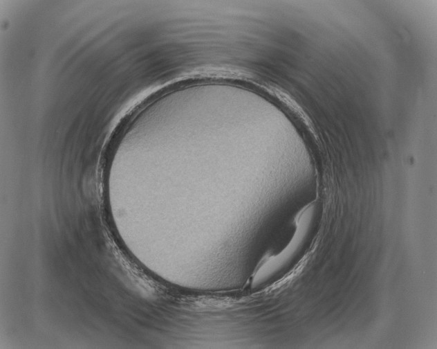 X0000085060981200704021340