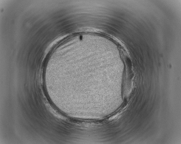 X0000085060987200704021340