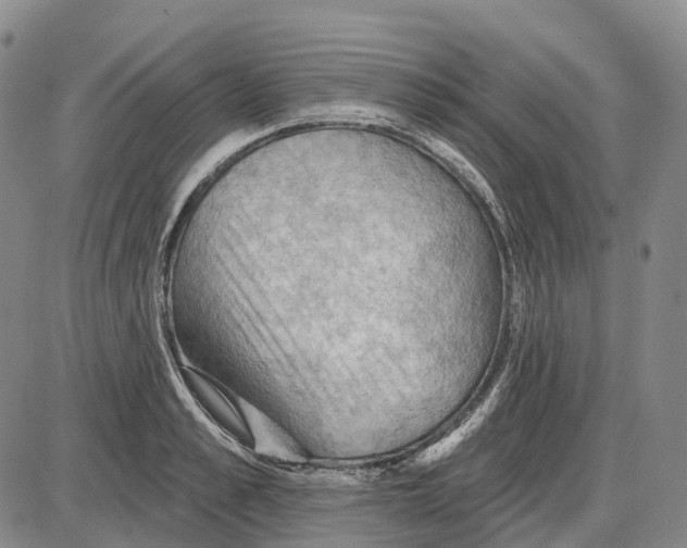 X0000085060989200704021340