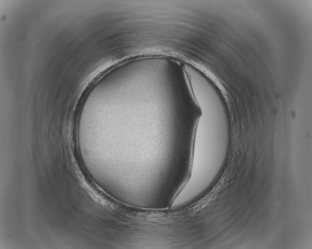 X0000085060991200704021340