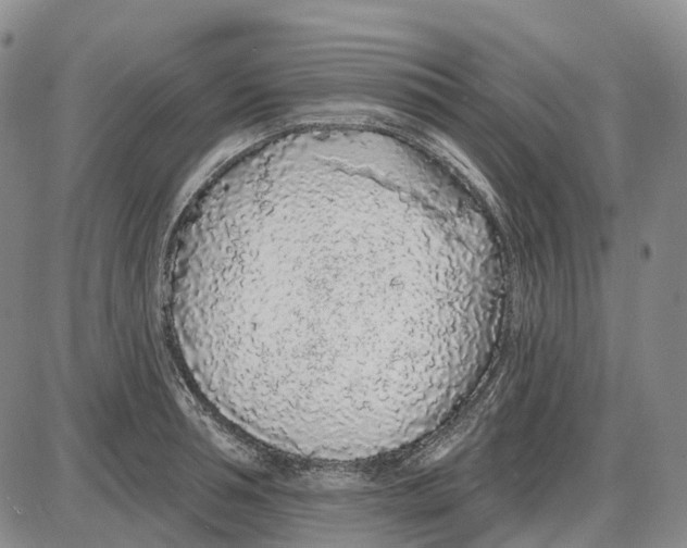 X0000085060994200704021340