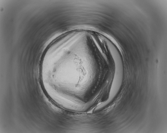 X0000085060999200704021340