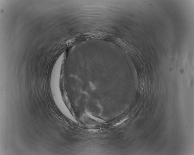 X0000085061010200704021339