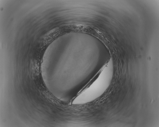 X0000085061013200704021339