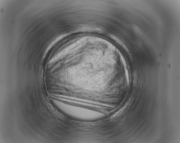 X0000085061021200704021339