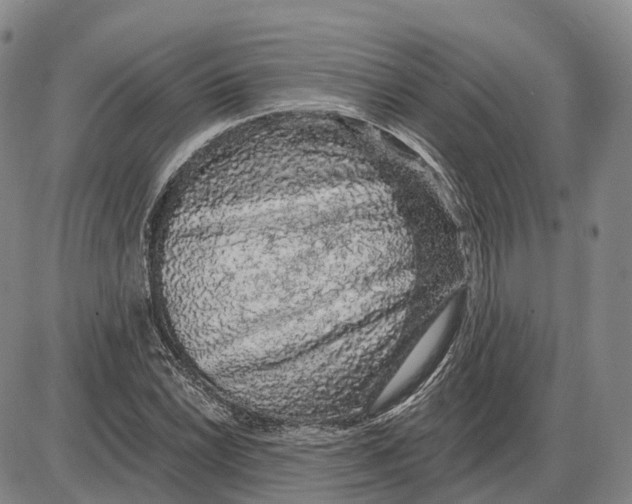 X0000085061022200704021339