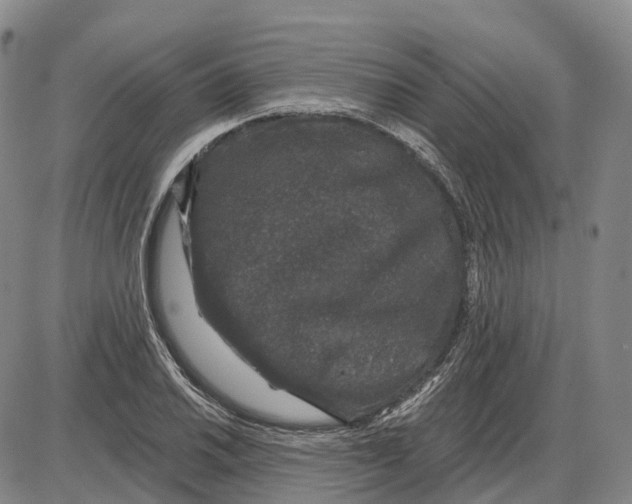 X0000085061030200704021340