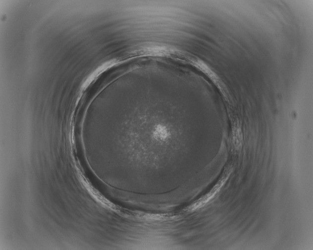 X0000085061034200704021340