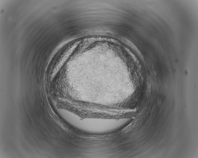 X0000085061035200704021340