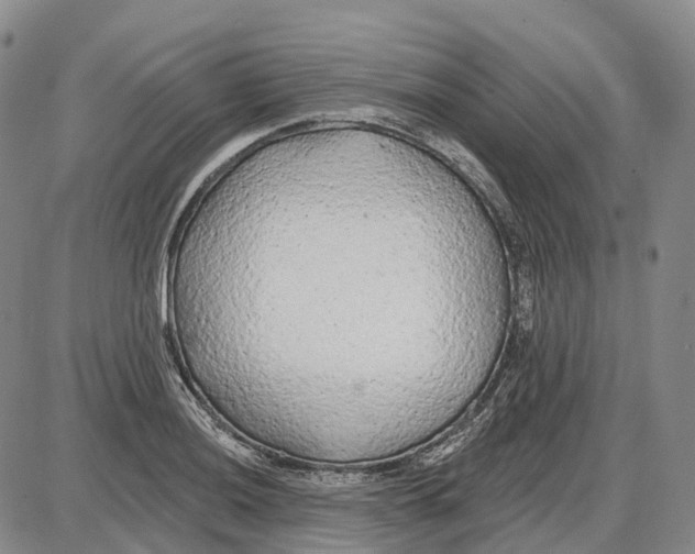 X0000085061036200704021340