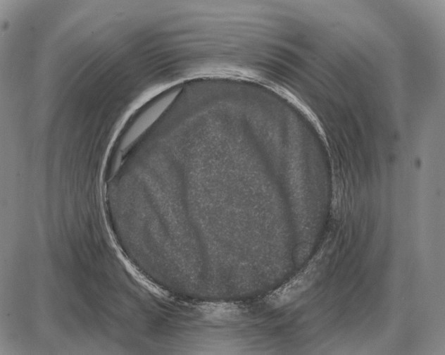 X0000085061037200704021340