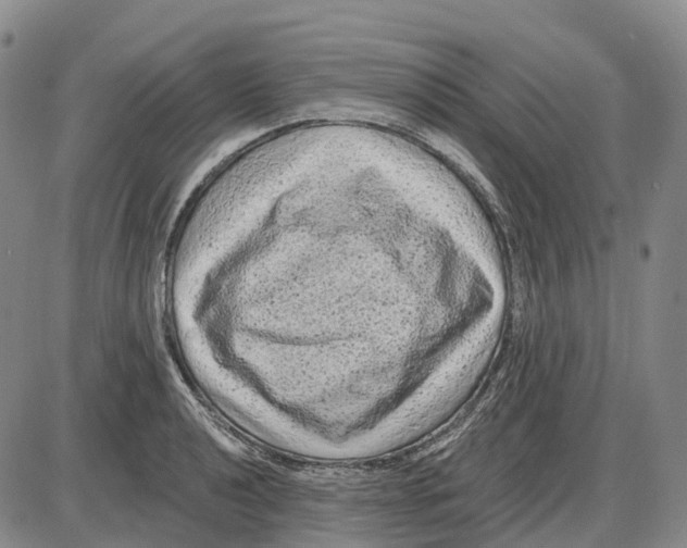 X0000085061040200704021340