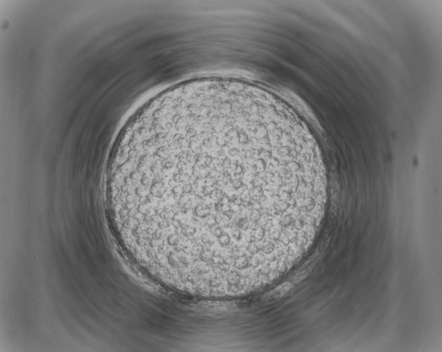 X0000085061044200704021340