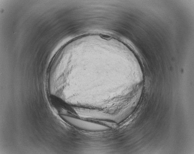 X0000085061048200704021340