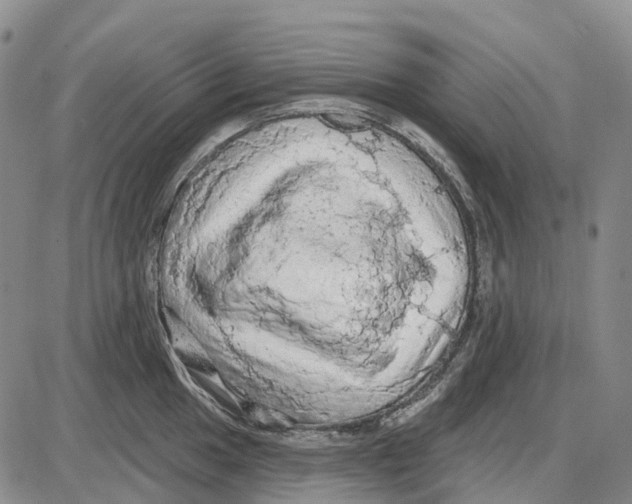X0000085061049200704021340