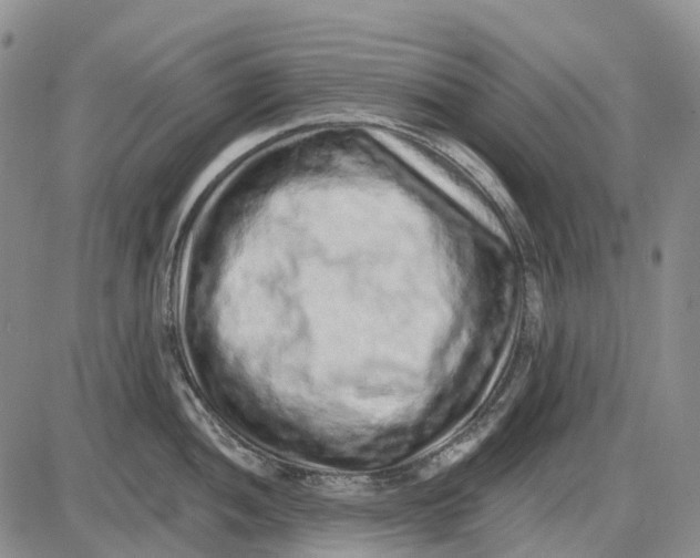 X0000085061052200704021340
