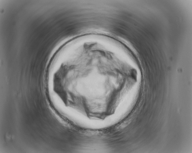 X0000085061056200704021340