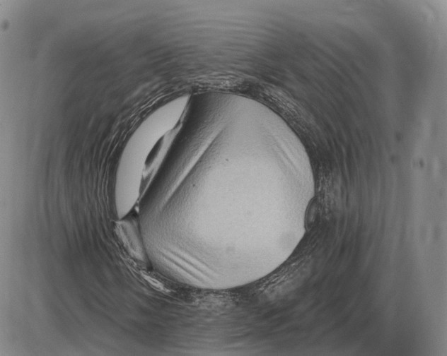 X0000085061058200704021339