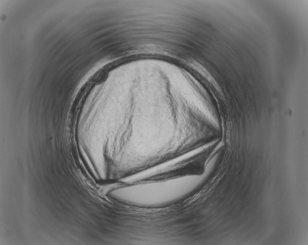 X0000085061068200704021339