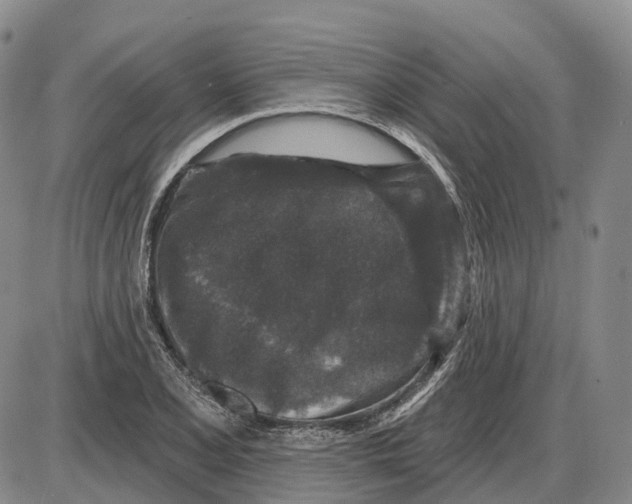 X0000085061077200704021339